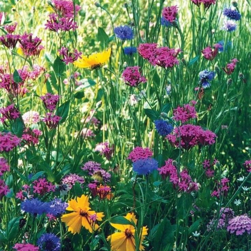 Meet your Posher, Karyn